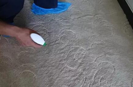一站式服务：专业清洗地毯 洗羊毛地毯 地毯清洗公司 保洁上门打扫